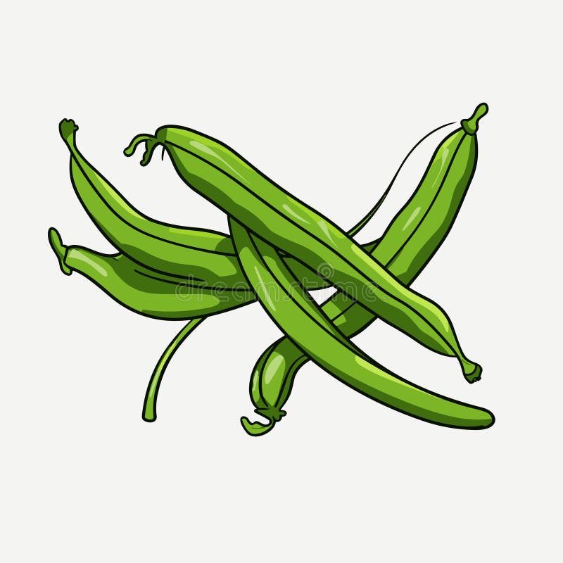 Green Beans Handdrawn Illustration. Green Beans. Vector Doodle Style