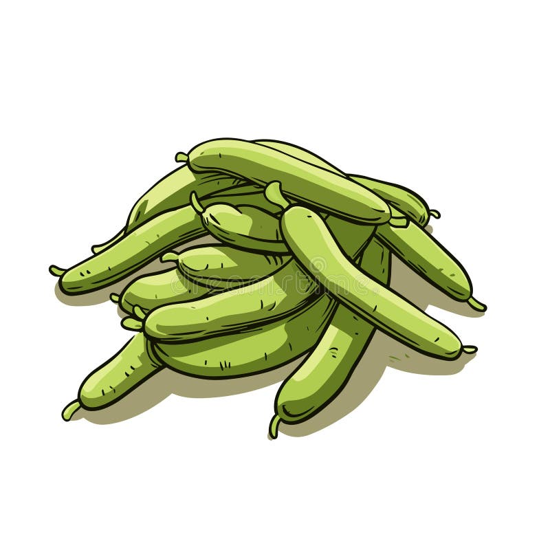 Green Beans Handdrawn Illustration. Green Beans. Vector Doodle Style