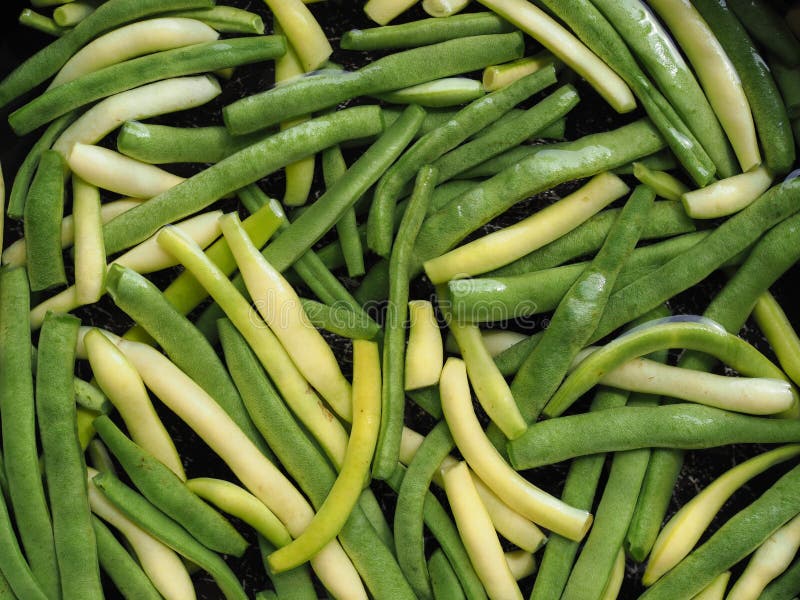 Beans, Legumes and Green Sprouts. Dried, Raw and Fresh, Top View. Red