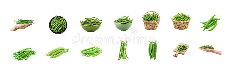 Green beans in a pod isolate on transparency vector illustration