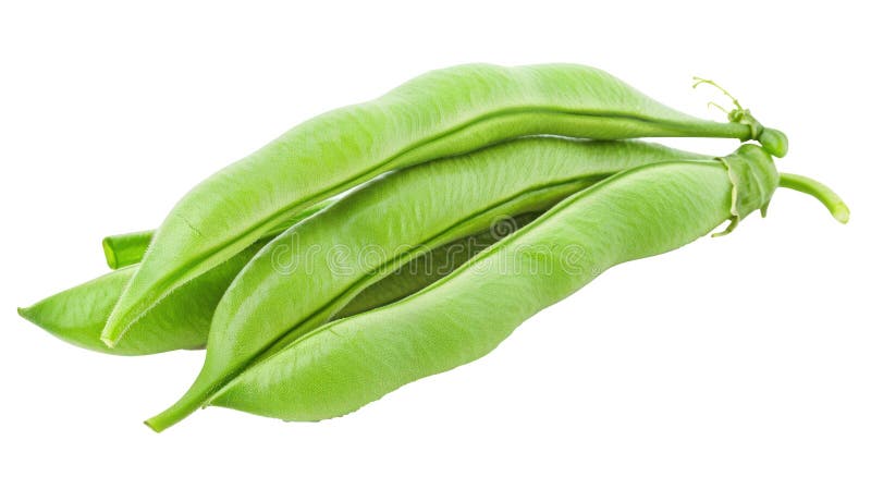 Green beans in a pod isolate on transparency vector illustration