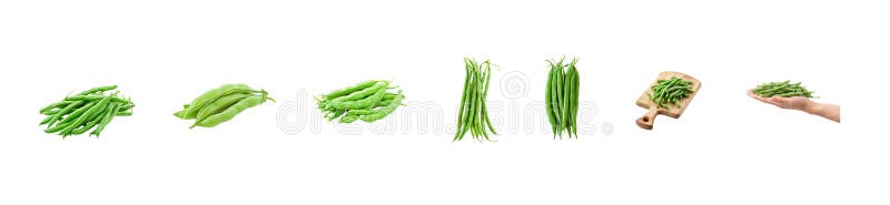 Green beans in a pod isolate on transparency vector illustration