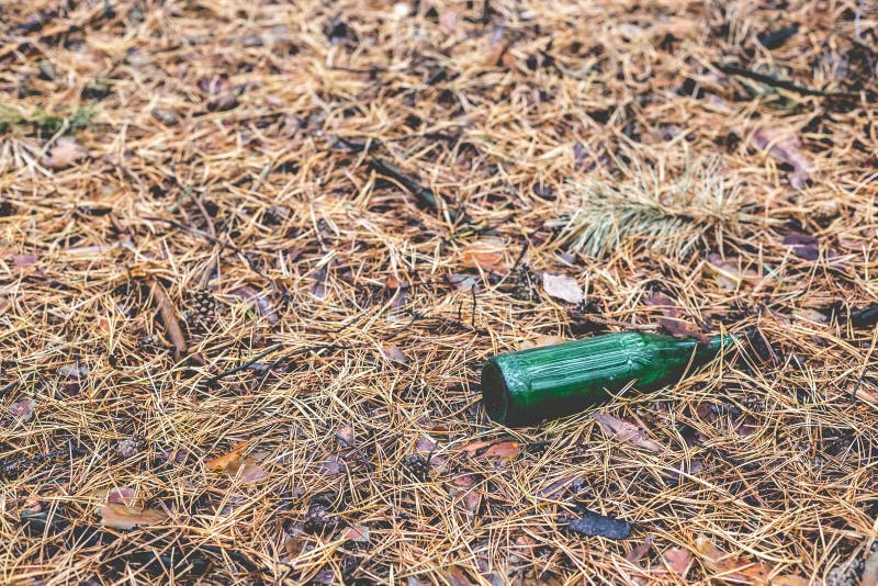 Green Beer Bottle on the Ground in the Pine Forest Stock Photo Image of industry, clean 102778036