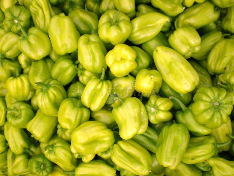 GREEN BELL PEPPER stock photo. Image of bellpepper, pepper 9106658