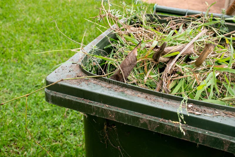 13,063 Garden Waste Photos - Free & Royalty-Free Stock Photos from  Dreamstime
