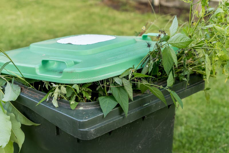 Green Bin Container Filled with Garden Waste. Recycling Garbage for a ...