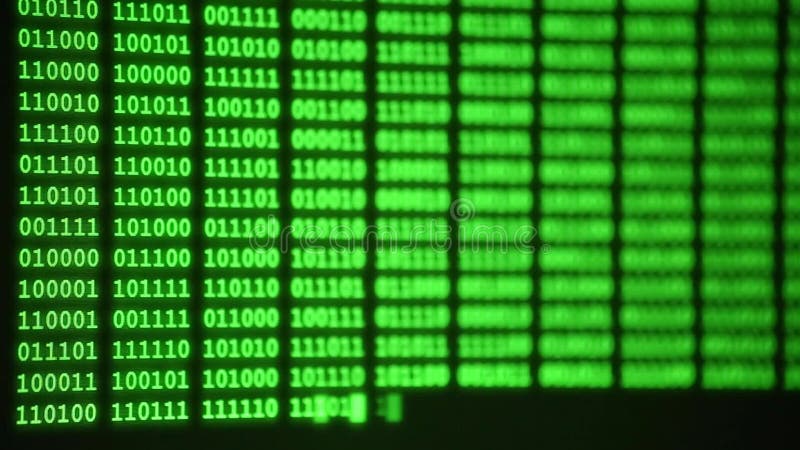 Green binary code of computer program on display with selective focus, programming, hacking, developer or computer source code concept. Computer binary program code video