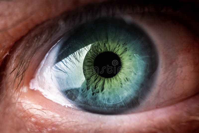 Human eye macro stock image. Image of face, clarity - 170751079