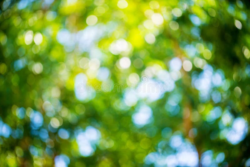 Mùa hè đã đến và hãy bắt đầu bằng những hình nền Green and Blue Summer Bokeh cho máy tính của bạn. Giữa tiết trời nắng nóng oi bức, một chút mát mẻ từ hình nền sẽ giúp bạn dễ chịu hơn đấy!