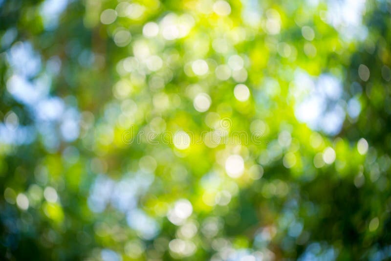 Green and Blue Summer Bokeh for Background . Natural Green Blur Style from  Trees Stock Image - Image of park, nature: 136325163