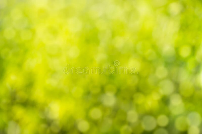 Green bokeh background. Element of design. Abstract eco green bl
