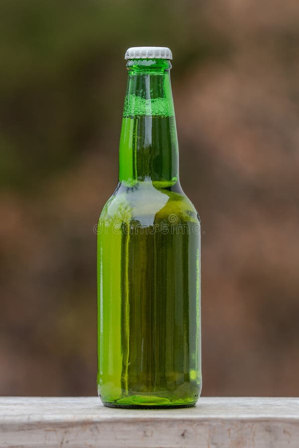 Green Bottle of Beer stock image. Image of beer, isolated 263043297