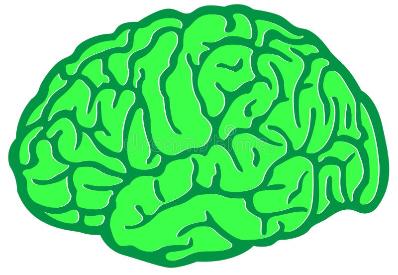 Green brain. Зеленый мозг. Мозг на зеленом фоне. Мультяшный мозги. Мозги на зелёном фоне.