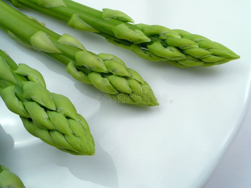 Green braird on a plate--asparagus