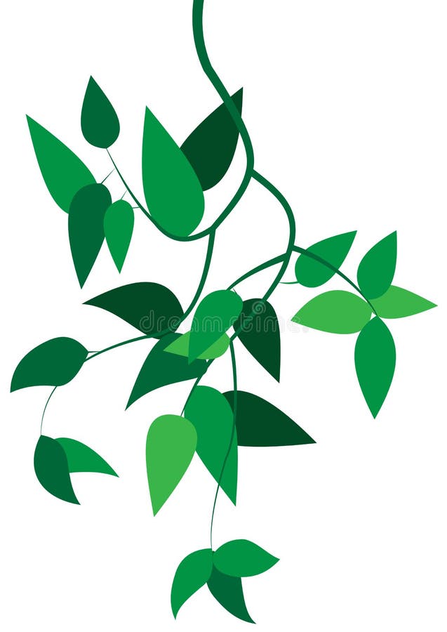 Green branch with leaves vector illustration