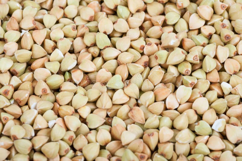 Green buckwheat. Macro stock photo. Image of nature, calories 59199294