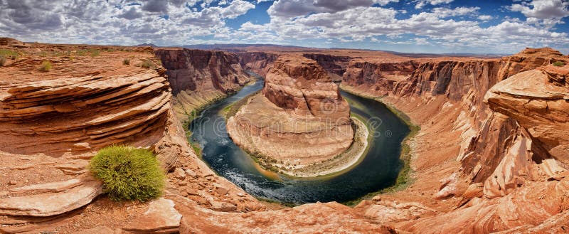 Green Bush On Horseshoe Bend