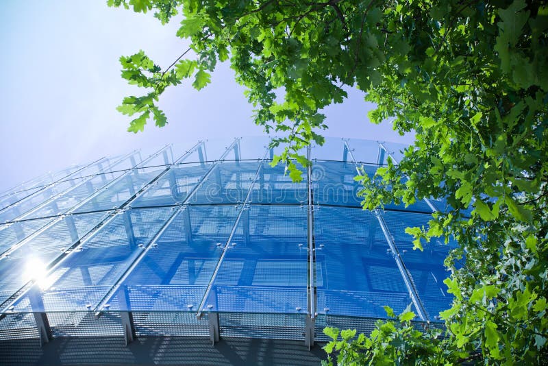 Ufficio l'edificio un verde Quercia nel cielo azzurro, il negozio.