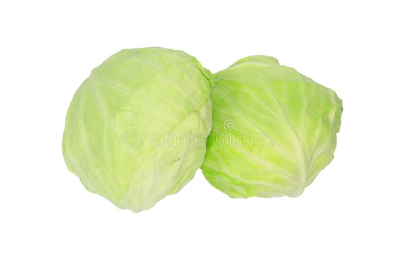 Green cabbage