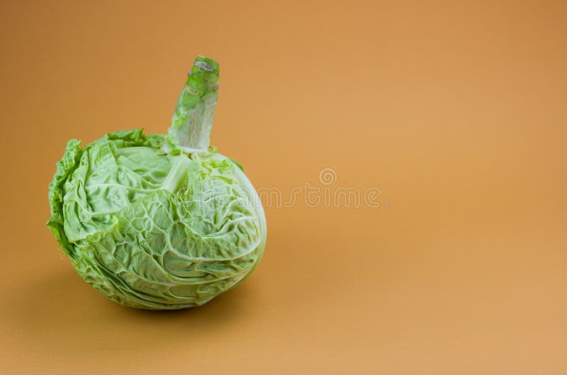 Green Cabbage Isolated on a Mustard Color Background Stock Photo