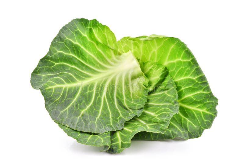 Green Cabbage Leaf Isolated on White Background. Stock Image Image of