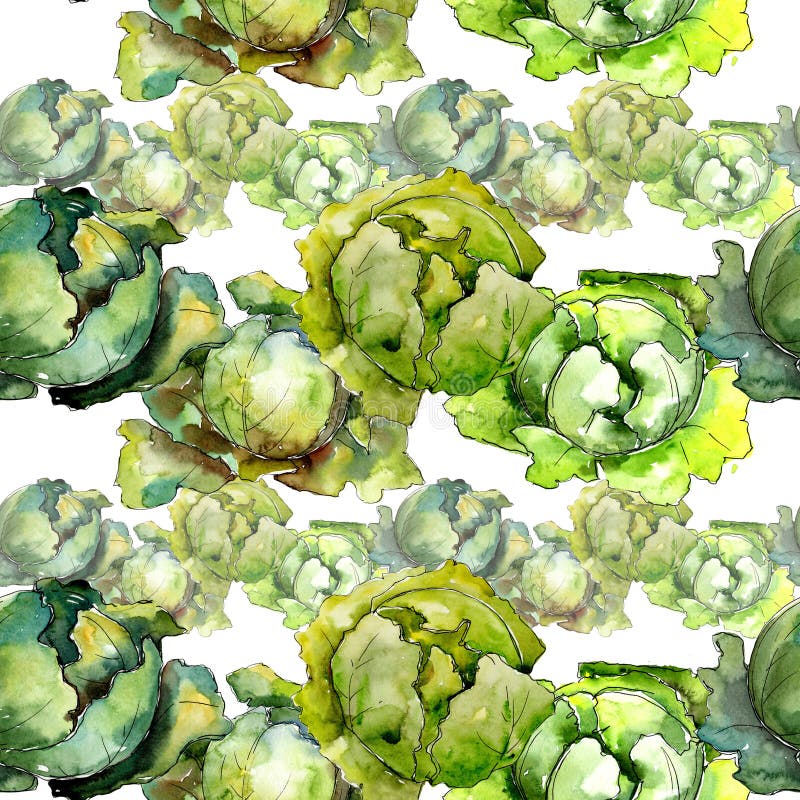 Green Cabbage Vegetables in a Watercolor Style Pattern. Stock ...