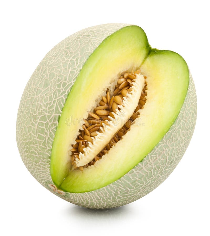Green Cantaloupe Melon Isolated Stock Photo Image of juice, fruit