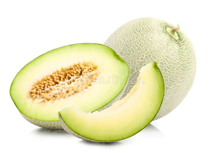 Green Cantaloupe Melon Isolated Stock Image Image of natural, full