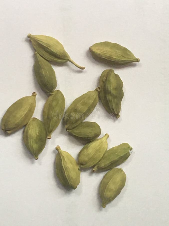 Green Cardamom Indian Spice Stock Image Image of small, green 193443431