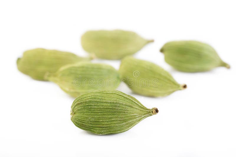 Green Cardamom Pods Isolated on White Stock Image Image of aromatic