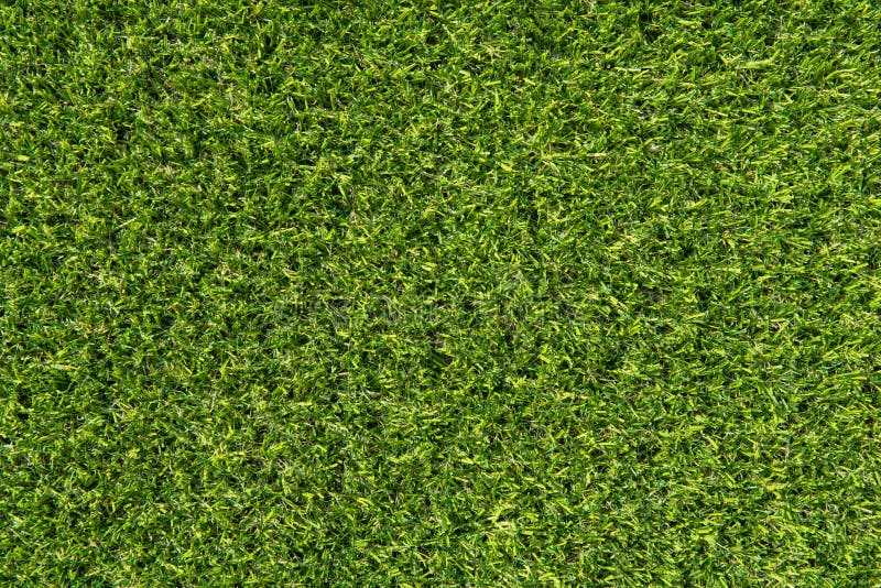 Green Carpet Texture Background Stock Photo Image of floor, natural