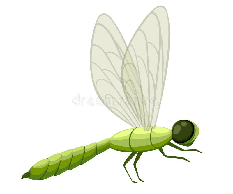 Green Cartoon Dragonfly Illustration. Fly Insect Wildlife Object Stock Illustration - Illustration of beautiful, natural: 118530717 Green Cartoon Dragonfly Illustration. Fly Insect Wildlife Object Stock Illustration - Illustration of beautiful, natural: 118530717