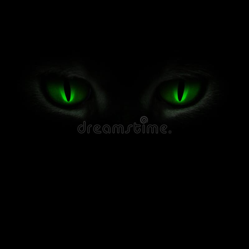 Green cat s eyes glowing in the dark