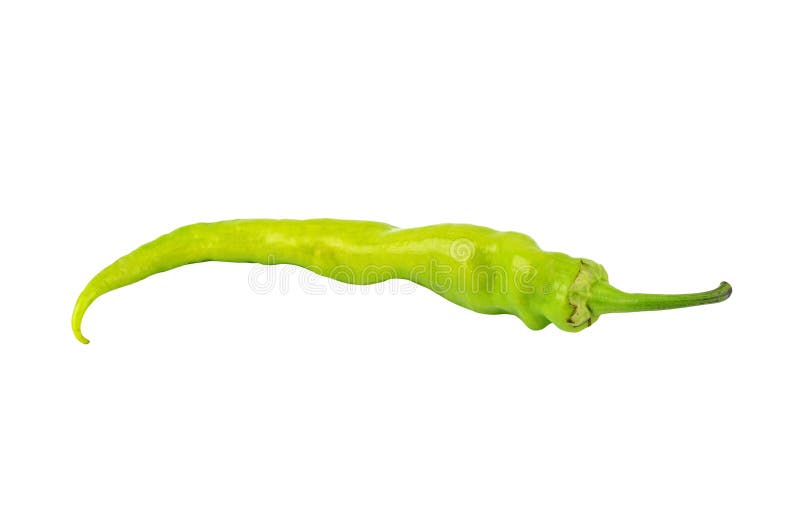 Green cayenne chili pepper stock photo. Image of gourmet 20365822