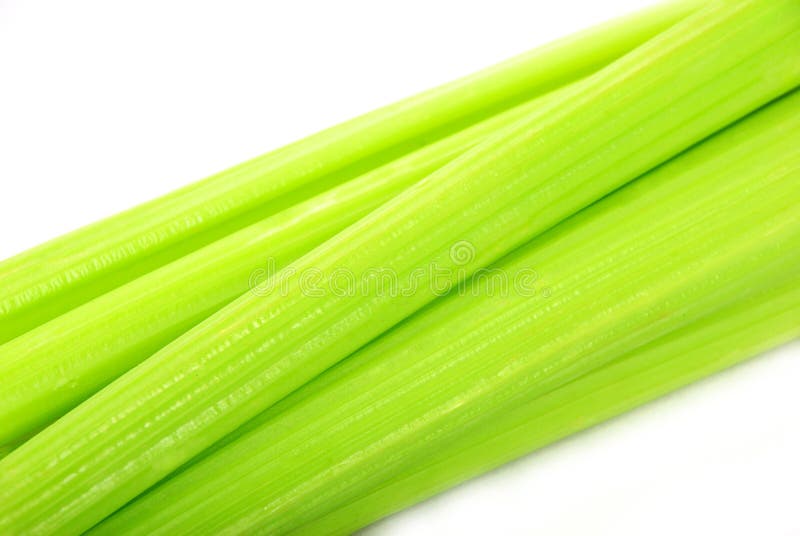Green celery stock images