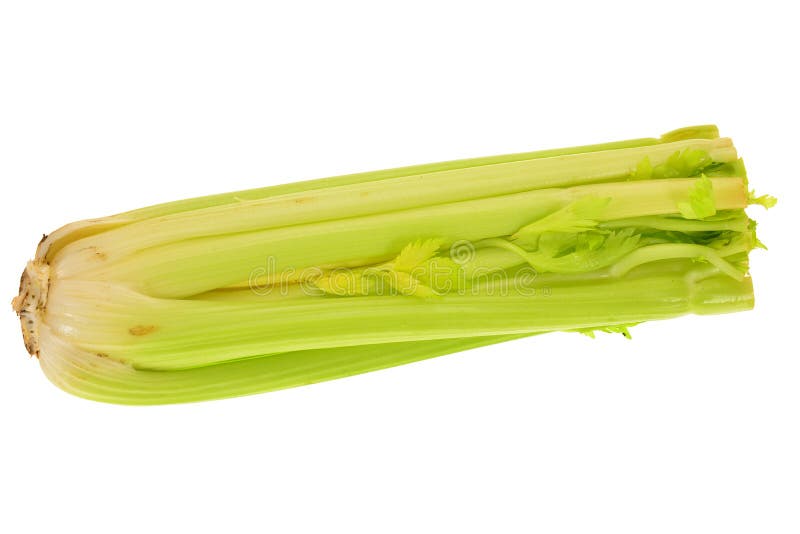 Green Celery stock photo. Image of celery, juicy, cook 34000440