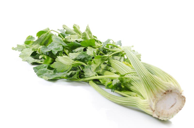 Green celery stock image. Image of stalks, vitamins, healthy 57057729