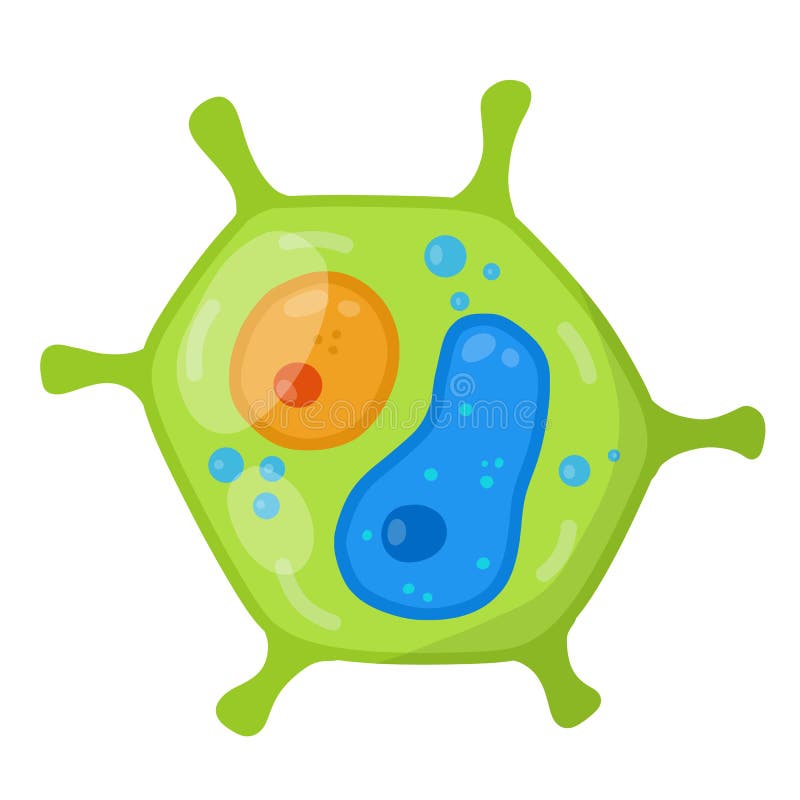 Green Cell of the Plant. Element of Science and Biology. Cartoon