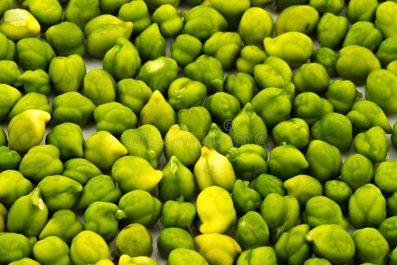 Green Chickpeas stock photo. Image of nutritious, protein 50290980