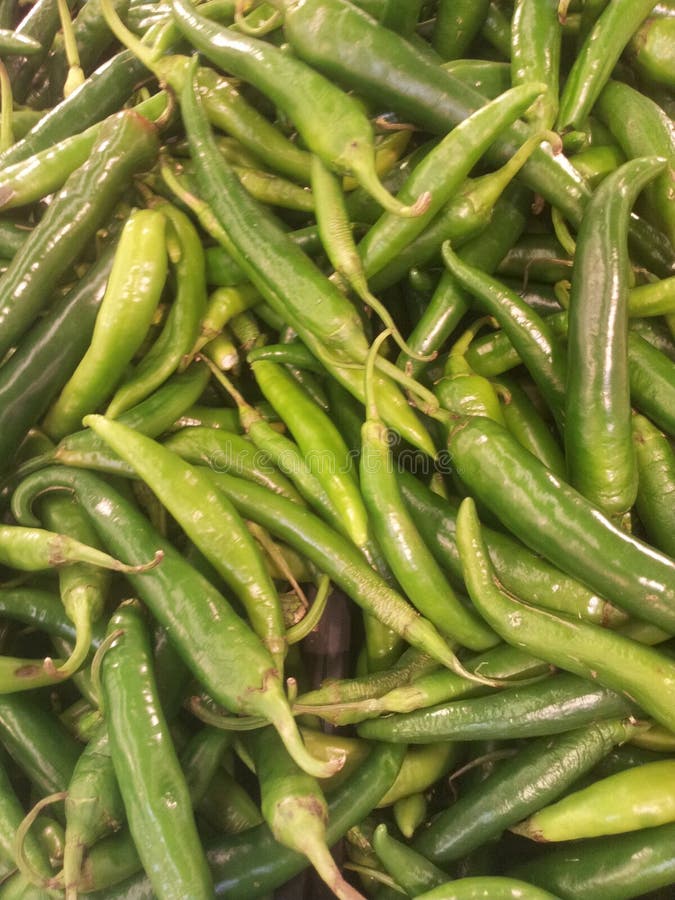 Green chiles stock image. Image of simple, spine, black 56759643