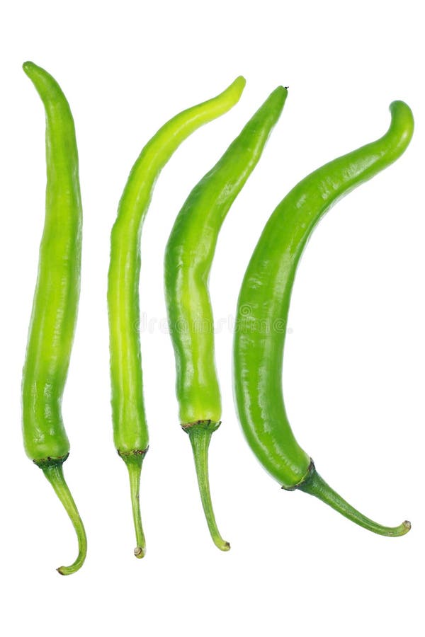 Green Chili Isolated on White Stock Image Image of capsicum, nature