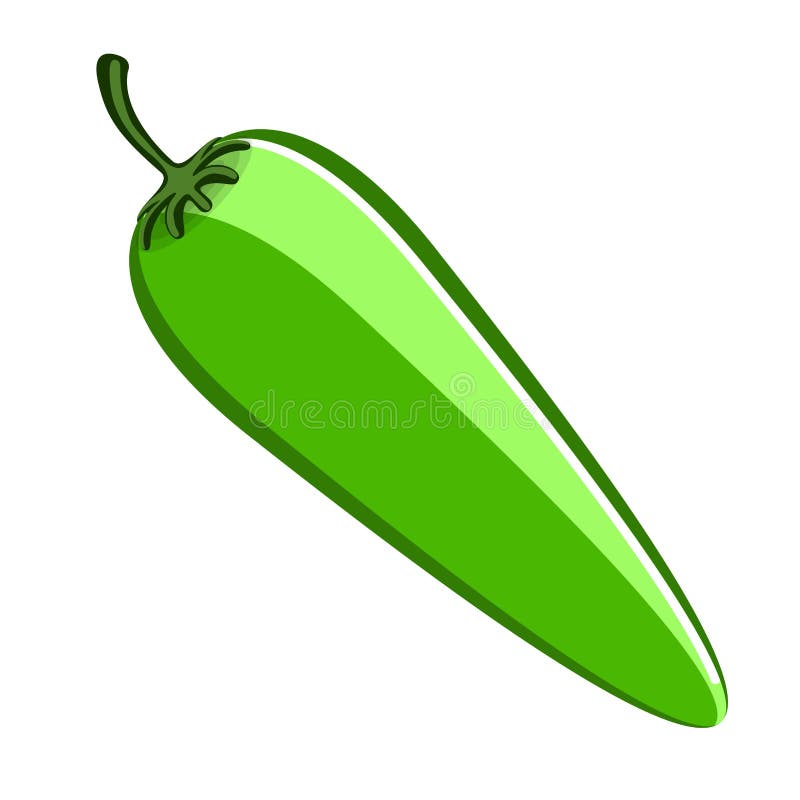 Green Chili Pepper stock illustration. Illustration of chili 1001133