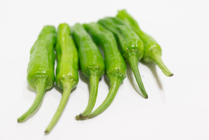 Green chili pepper stock photo. Image of plant, ingredient 48966674