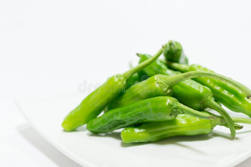 Green chili pepper stock photo. Image of natural, pepper 48966678