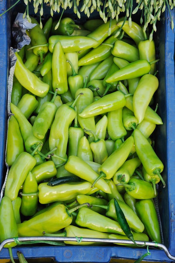 Green chili peppers stock photo. Image of closeup, asian 24425232