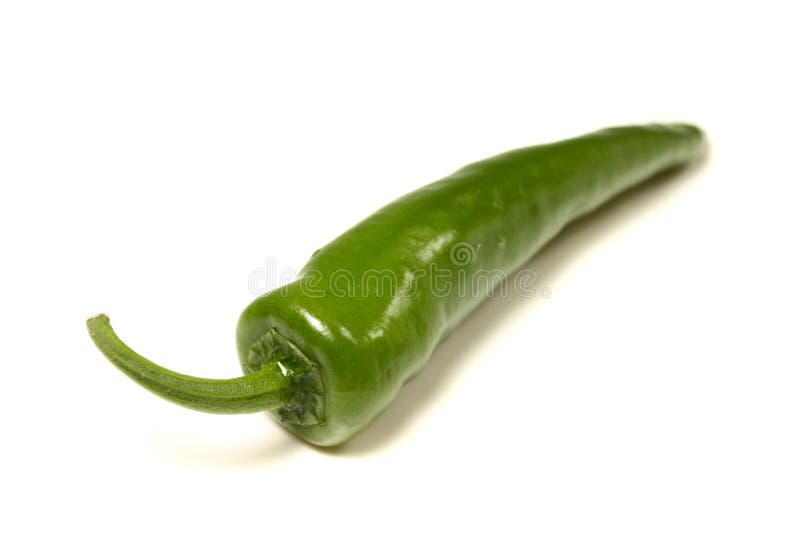Green Chilli stock image. Image of food, tasty, nature 16899659
