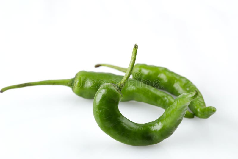 Green Chilli Isolated on White Background Stock Image Image of chili, chilies 255999445
