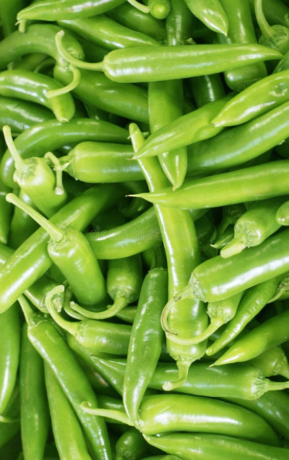 Green Chillies stock photo. Image of curry, green, fruit 72459832