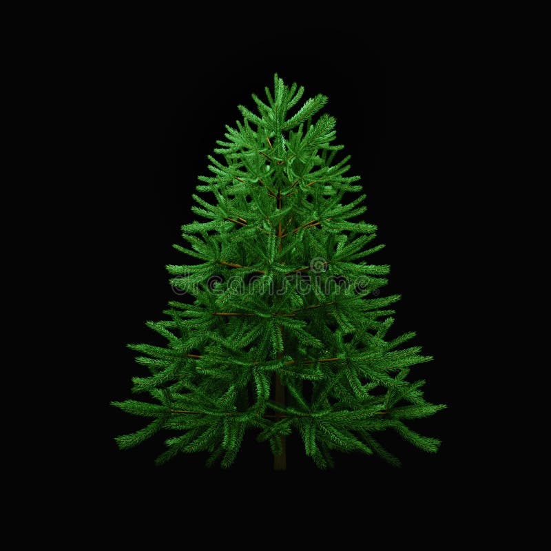 Cây thông Giáng sinh xanh trên nền đen: Thấy một bông cây thông xanh trong không gian tối, liệu có đủ độc đáo? Hãy xem những hình ảnh đầy phong cách này để tìm hiểu sự kết hợp đặc biệt giữa màu sắc và ánh sáng, đưa bạn đến một không gian Giáng sinh khác lạ và mới lạ.