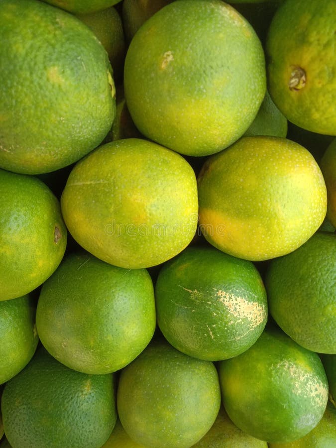 Green Citrus fruit stock photo. Image of fruit, green 125922962